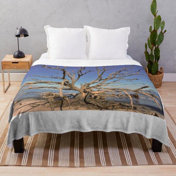 Item preview, Playa de madera flotante de Jekyll Island Georgia designed and sold by LisaWootenPhoto.