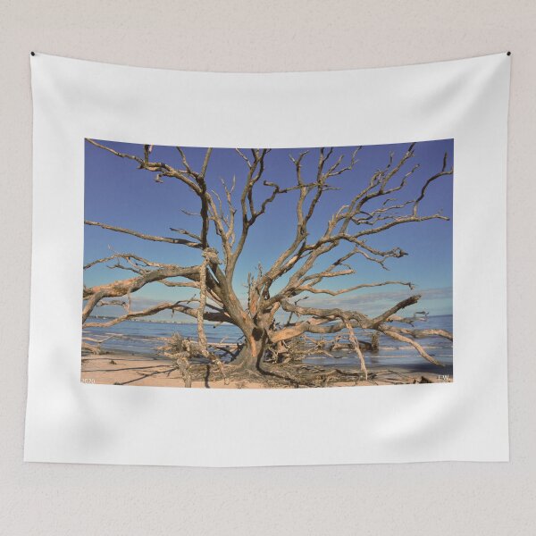 Aperçu de l'œuvre Jekyll Island Géorgie Driftwood Beach créée et vendue par LisaWootenPhoto.