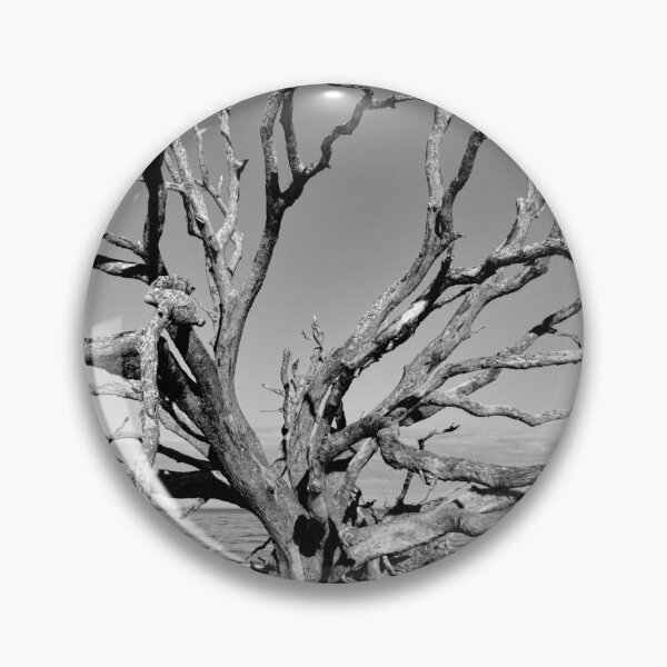 Item preview, Playa de madera flotante de Jekyll Island Georgia designed and sold by LisaWootenPhoto.