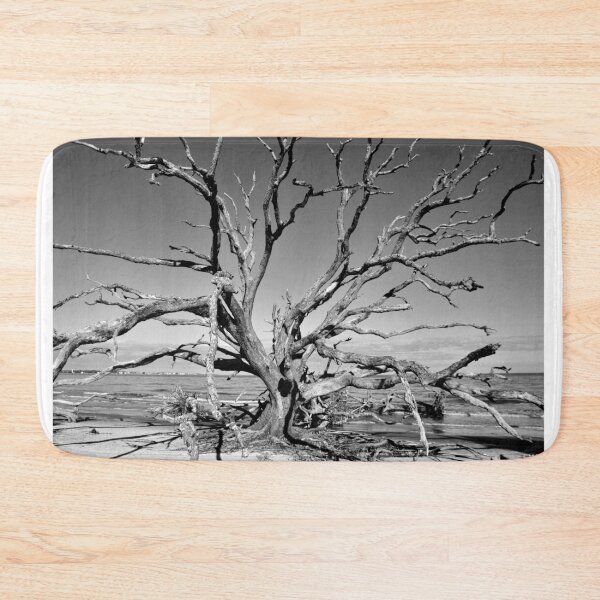 Aperçu de l'œuvre Jekyll Island Géorgie Driftwood Beach créée et vendue par LisaWootenPhoto.
