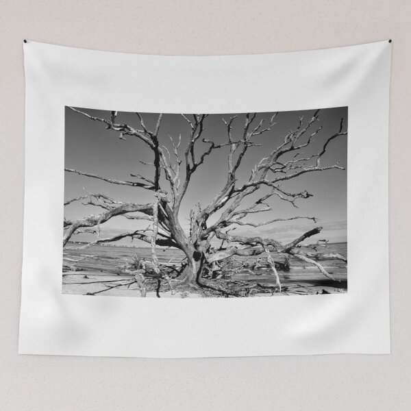 Aperçu de l'œuvre Jekyll Island Géorgie Driftwood Beach créée et vendue par LisaWootenPhoto.