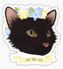 BLACK CAT Sticker