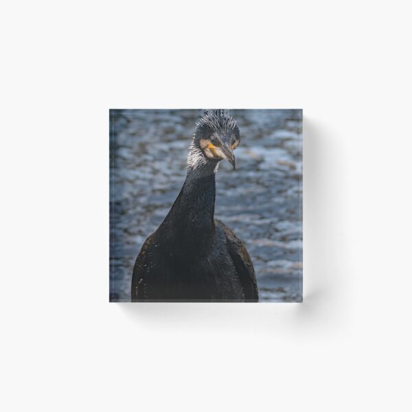 Item preview, I Am NOT A Duck designed and sold by GingerMan2550.