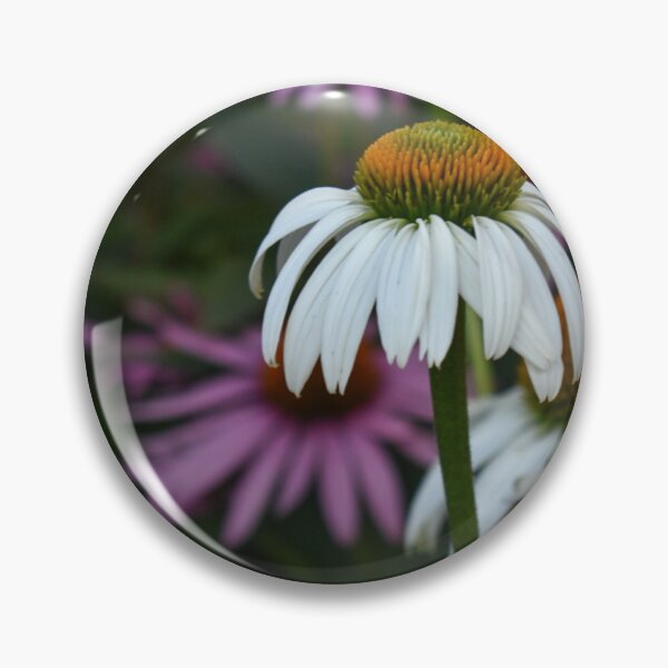 Item preview, White Daisy designed and sold by DonnaMariePhoto.