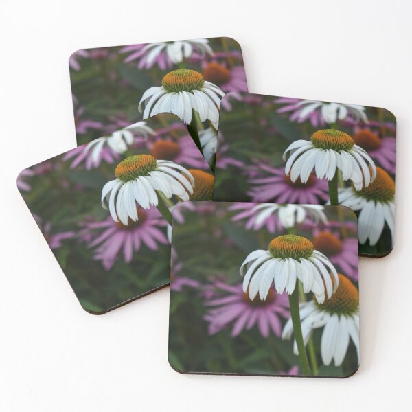 Item preview, White Daisy designed and sold by DonnaMariePhoto.