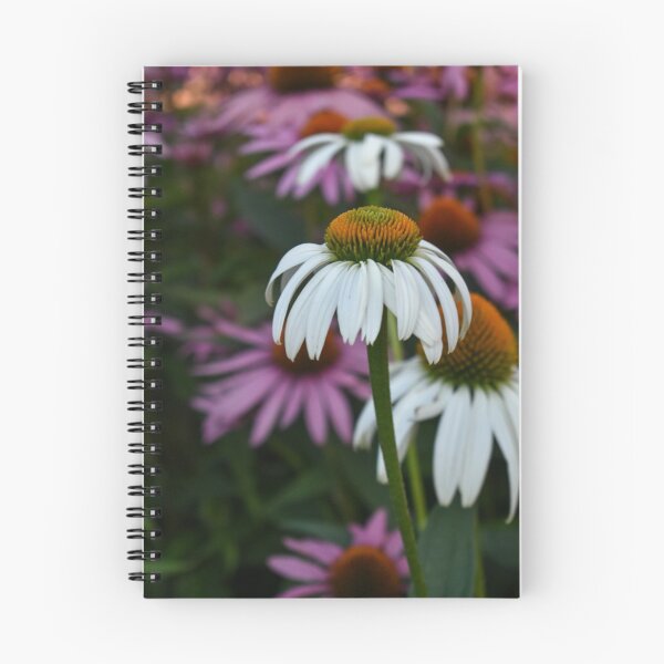 Item preview, White Daisy designed and sold by DonnaMariePhoto.