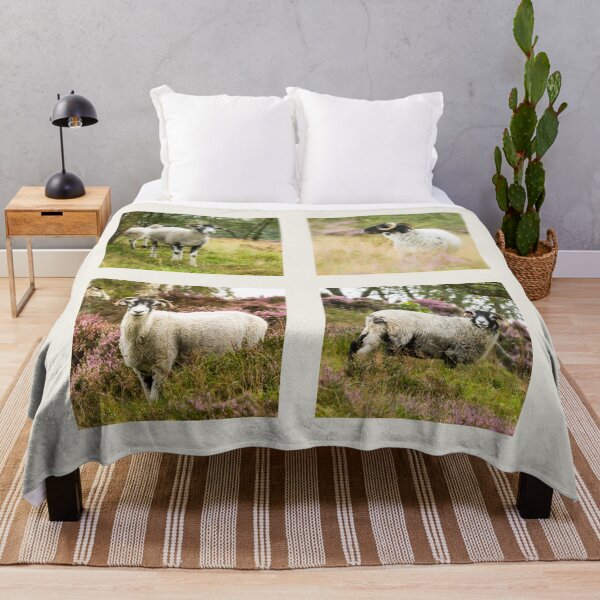 Item preview, Swaledale Sheep Collection designed and sold by Jane Stanley Photography.
