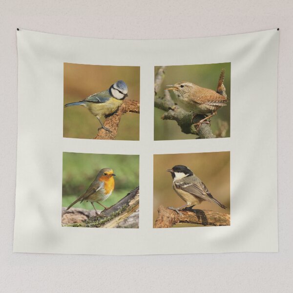 Item preview, Garden Bird Collection designed and sold by Jane Stanley Photography.
