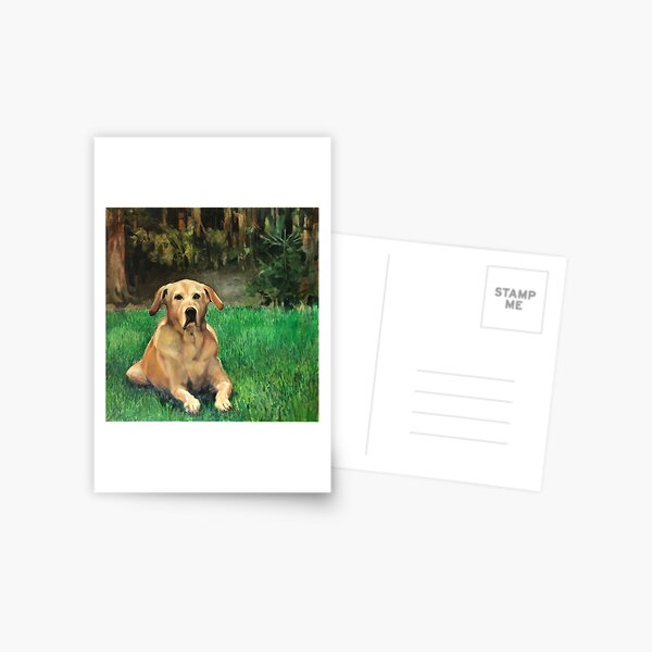 Yellow Lab Postcard
