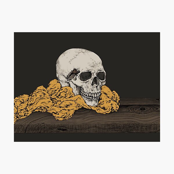 Skull and Sicada Photographic Print