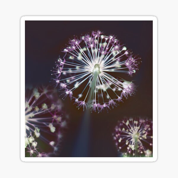 Item preview, Floral Fireworks. Dark Floral Abstract Art designed and sold by tanjica.