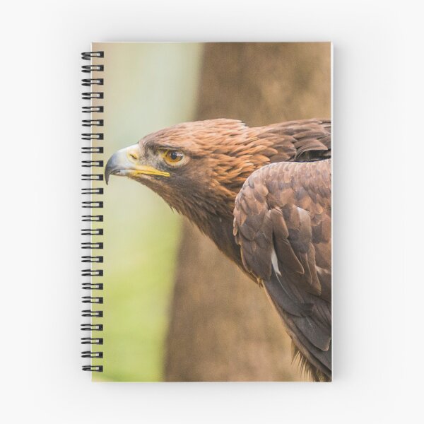 Item preview, Golden Eagle designed and sold by Alius Imago.