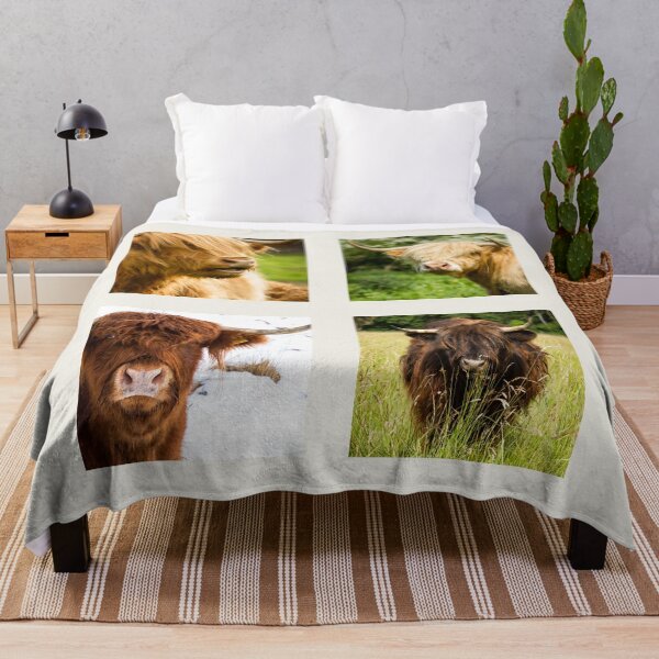Item preview, Highland Cow Collection designed and sold by Jane Stanley Photography.