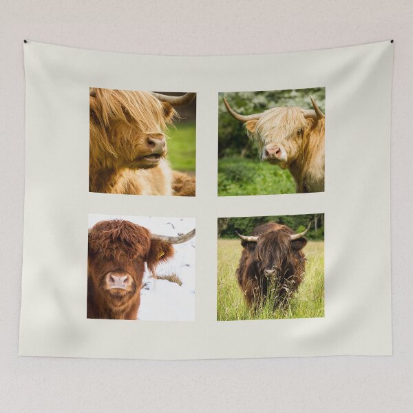 Item preview, Highland Cow Collection designed and sold by Jane Stanley Photography.