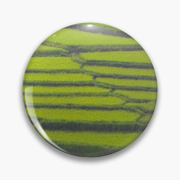 Item preview, Green Rice Field close-up | Abstract Landscape Fotography designed and sold by SimZoom.
