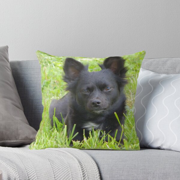 Item preview, Intelligent Gaze designed and sold by Ashley Gagnon.