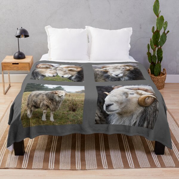 Item preview, Herdwick Sheep Collection, Rams designed and sold by Jane Stanley Photography.