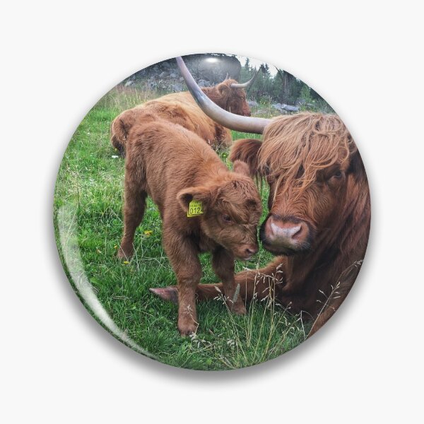 Item preview, Scottish Highland Cattle Cow and Calf 2464 designed and sold by SaarelaHighland.