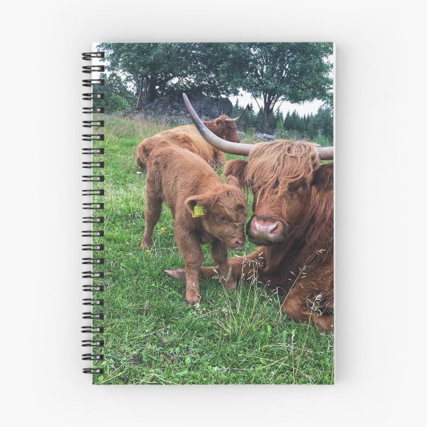 Item preview, Scottish Highland Cattle Cow and Calf 2464 designed and sold by SaarelaHighland.