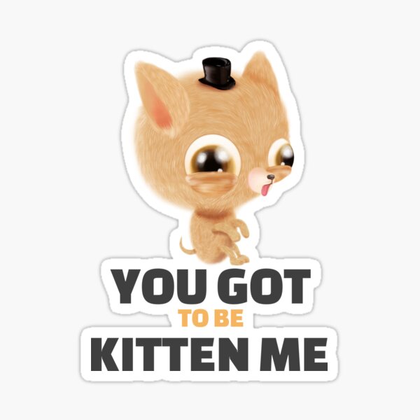 Youve Got To Be Kitten Me Stickers Redbubble 