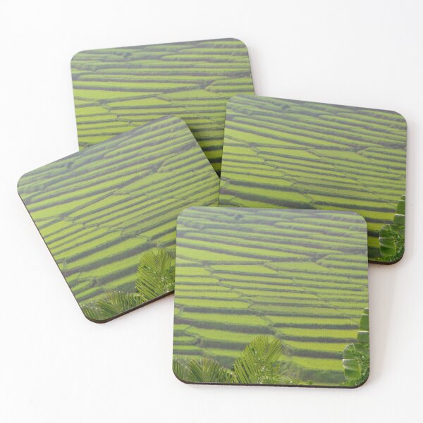 Item preview, Green Rice Field close-up | Abstract Landscape Fotography designed and sold by SimZoom.