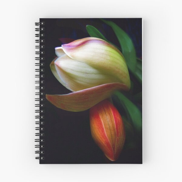 Item preview, Budding Beauty designed and sold by Jessica Jenney.