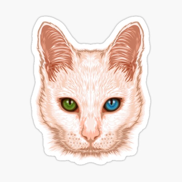 Heterochromia Cat Sticker