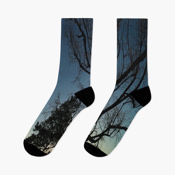 Item preview, Paper cut trees at sunset designed and sold by frankuffmann.