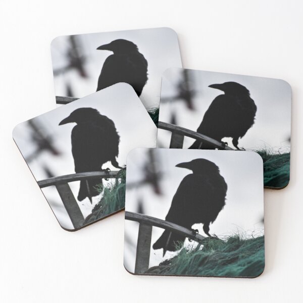 Item preview, Crow on Cape Cod designed and sold by DonnaMariePhoto.