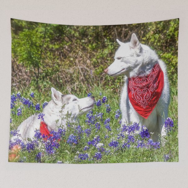 Item preview, Huskies in Blue Bonnets designed and sold by May Finch.