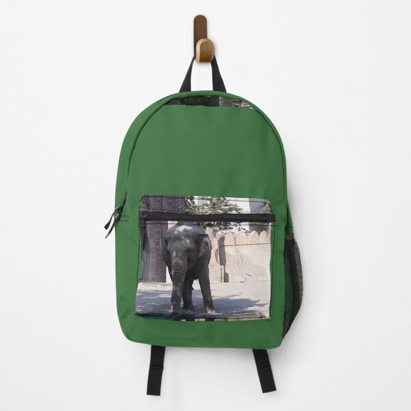 Item preview, Papa elephant. Zoo. Leipzig. Germany. designed and sold by UnsereWelt.