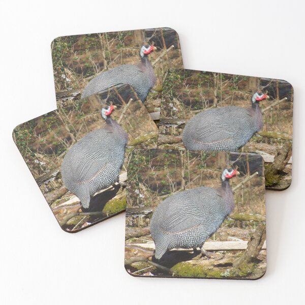 Item preview, Guinea designed and sold by Ashley Gagnon.