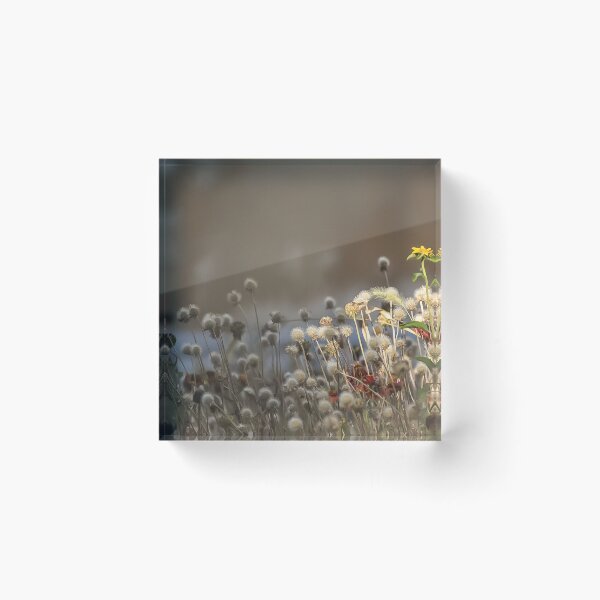 Item preview, Wildflowers in the City designed and sold by DonnaMariePhoto.