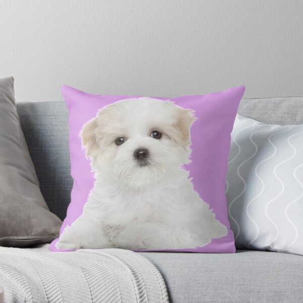 Item preview, Maltese Puppy Dog Photo designed and sold by WearItOwnIt.