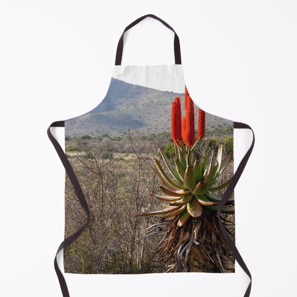 Item preview, Flowering Succulent Torch Aloe Plant Countryside, South Africa designed and sold by worldways.