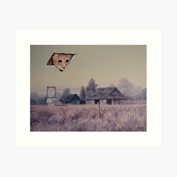 Eyes in the Sky Art Print