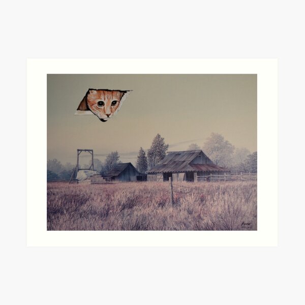 Eyes in the Sky Art Print