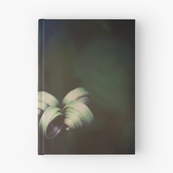 Item preview, Fiddleheads in the Dark designed and sold by Kate Trafeli.