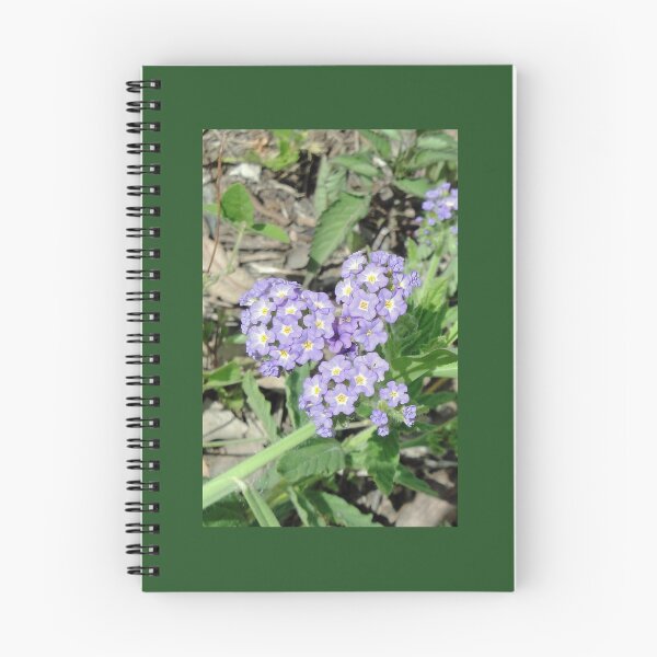 Item preview, Pretty Weeds in a Brisbane Park designed and sold by STHogan.