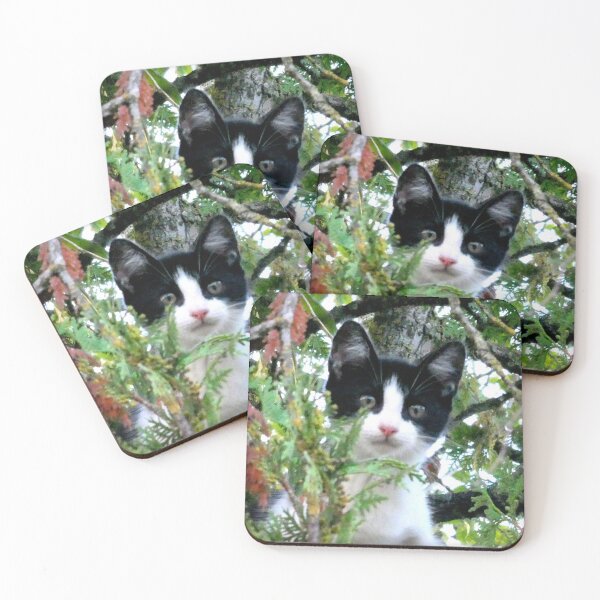Item preview, kitten up high in a tree designed and sold by angel1.