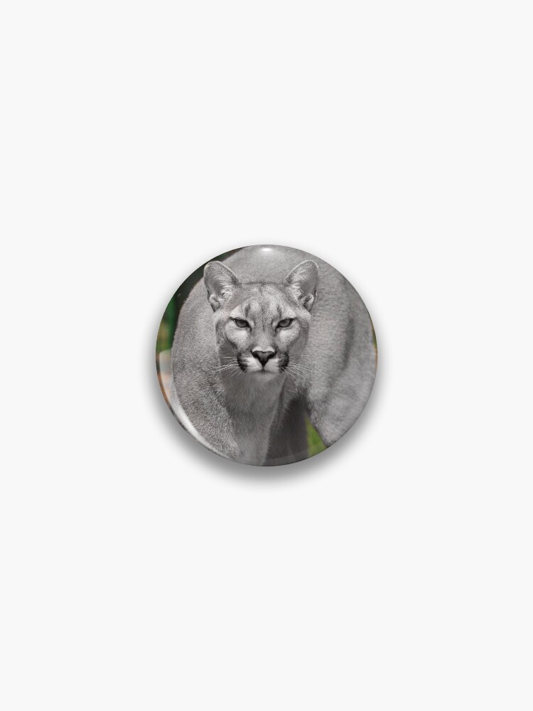 Cougar Lapel Pin or Cougar Brooch store Sterling Silver Puma Mountain Lion