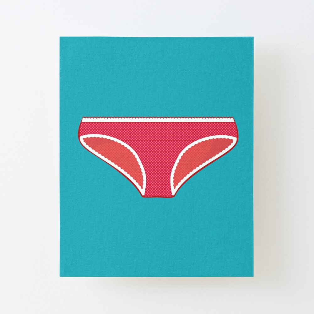 Ladies Knickers Womens Underwear | Sticker