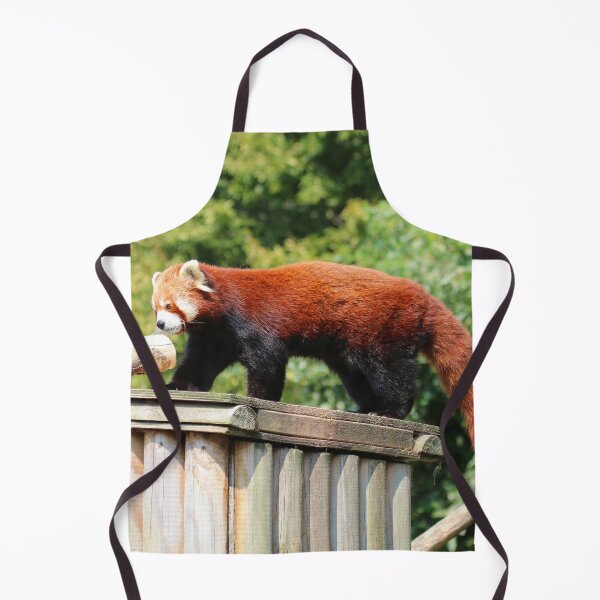 Item preview, Red Panda Stroll designed and sold by Fearless-Fox.