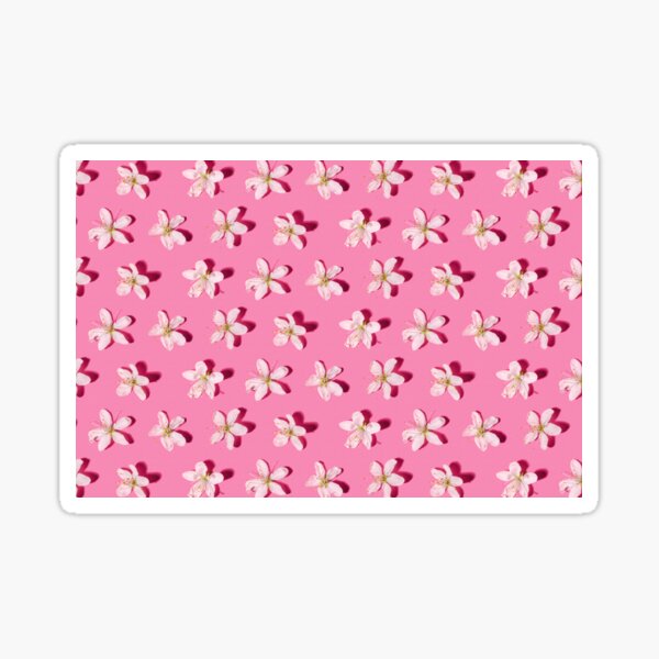 Cherry blossoms in bloom spring pattern Sticker
