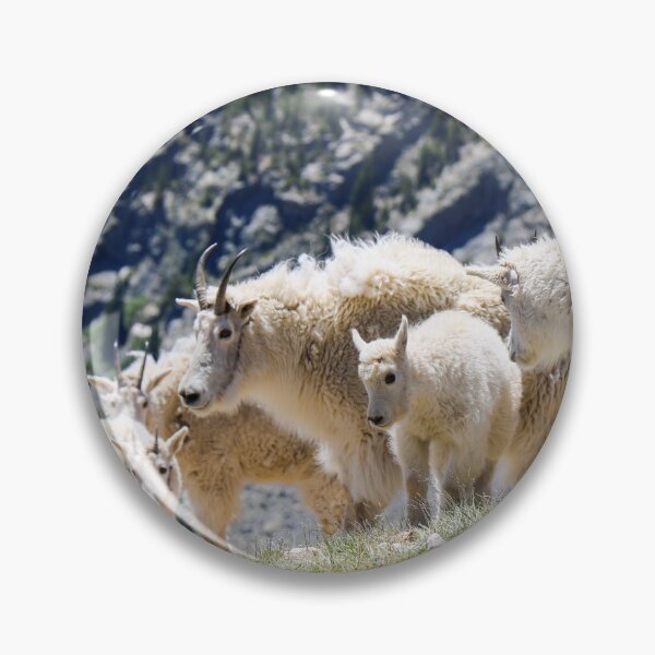 Item preview, Quandary Mountain Goats designed and sold by makaelafaub.