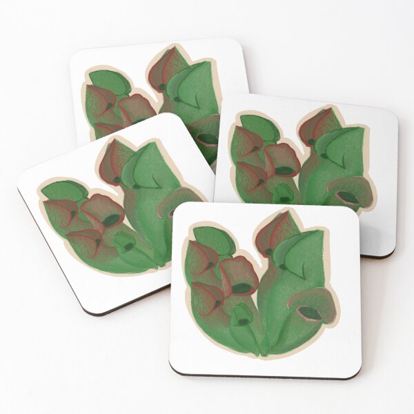Item preview, Pitcher plant designed and sold by Kmrartwork.
