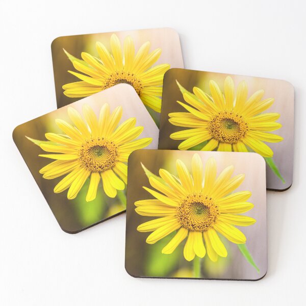 Item preview, Young Sunflower designed and sold by ppddesigns.