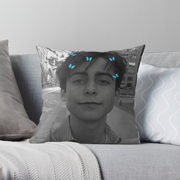 Aidan Gallagher Cojín