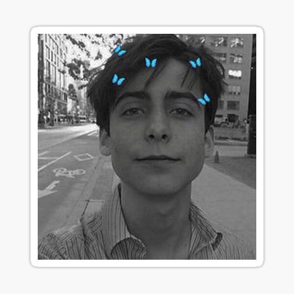 Aidan Gallagher Pegatina