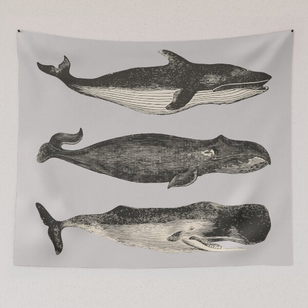 Item preview, Whales - Age of Discovery designed and sold by dodopus.